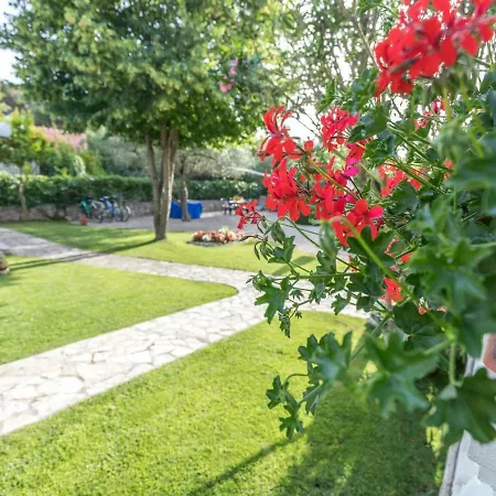 Spacious In Jadrija With Terrace Daire